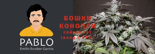 ALPHA PVP Заволжье