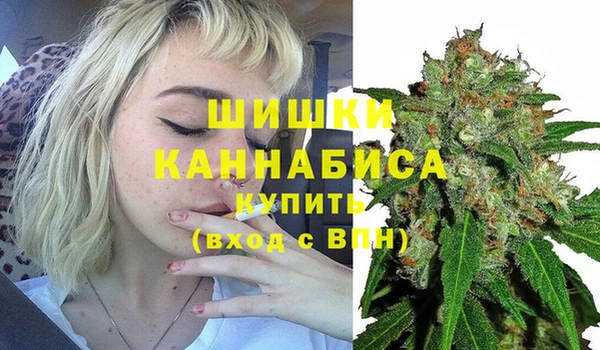 прущий лед Заводоуковск