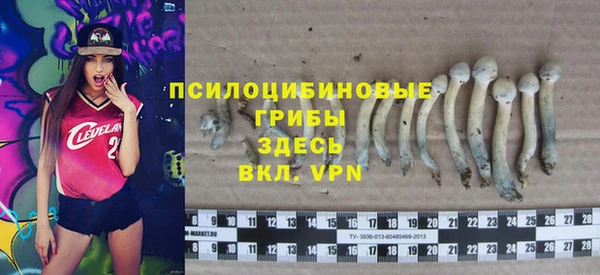 прущая мука Заволжск